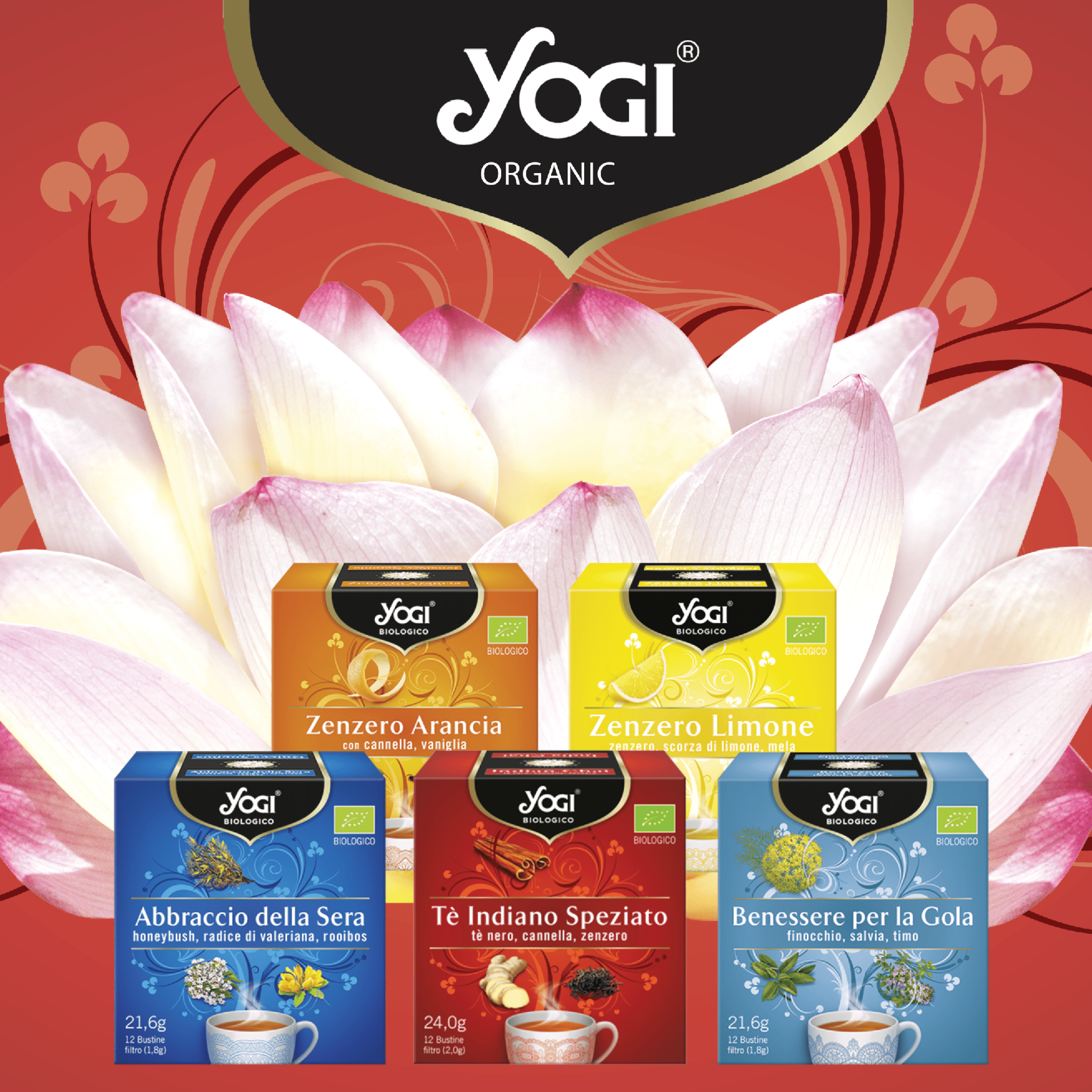 2015 – Launch of the new YOGI line, for the Mass Market